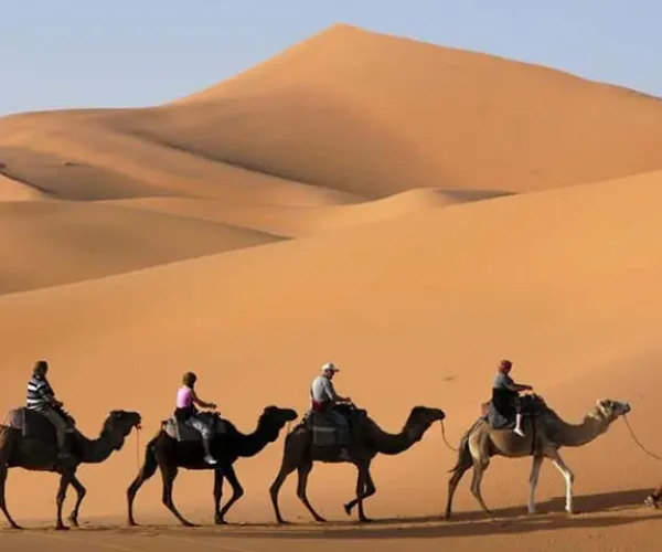 Tourists riding camels across the golden sand dunes of Dubai during a desert safari.